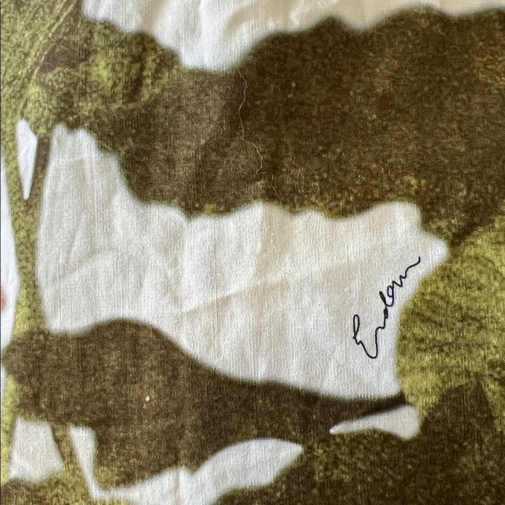 ERDEM Short-Sleeve Midi Shirt Dress in Cotton White and Green Floral 0 NWT 1345$ - Picture 14 of 14